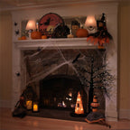 Alternate Image13