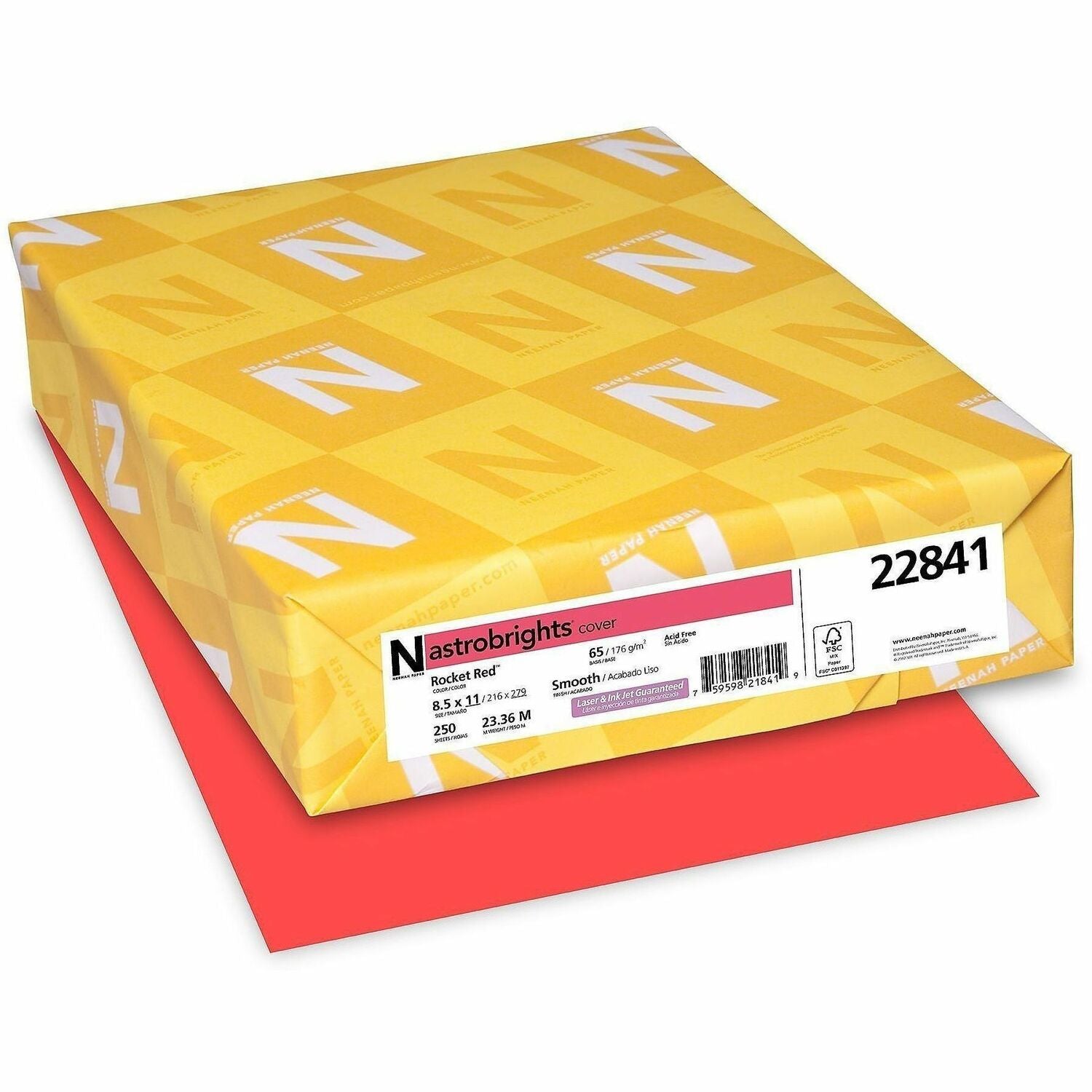 Image of NEE22841
