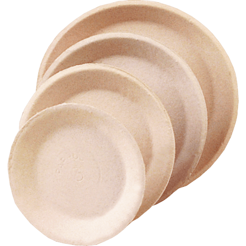 Alternate image #1 of 21019