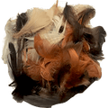 Image of 47753