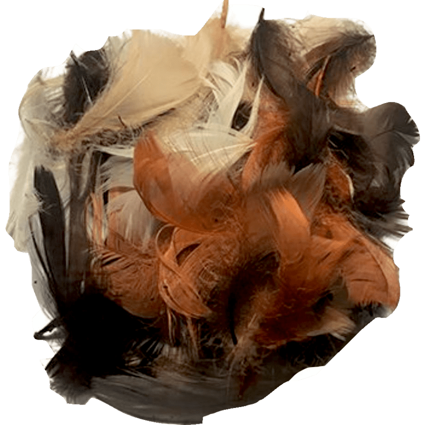 Image of 47753