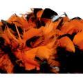 Image of 47754