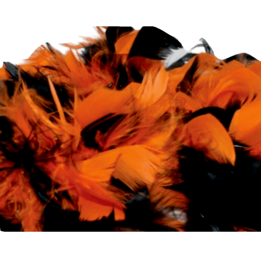 Image of 47754