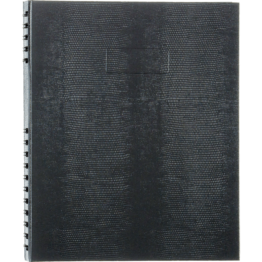 Image of A10150.GRY