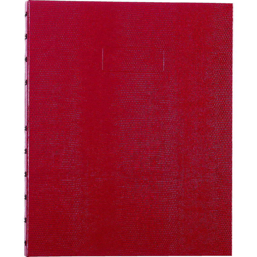 Image of A10150.RED