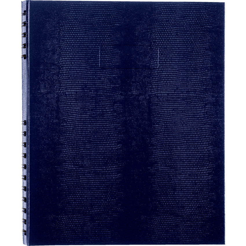 Image of A10200.BLU