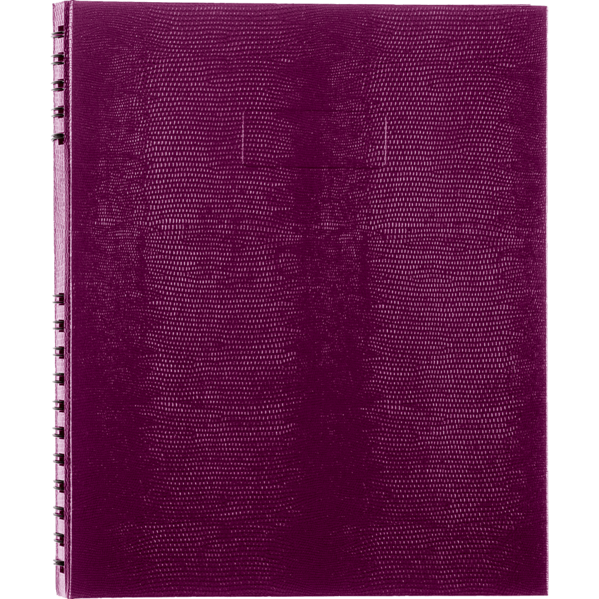 Image of A10200.RAS