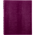 Image of A10200.RAS