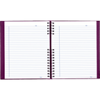 Alternate image #1 of A10300.RAS