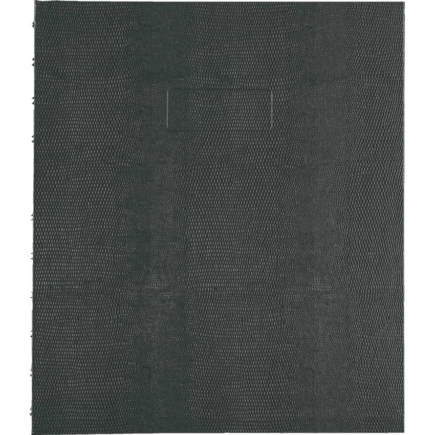Image of AF11150.97