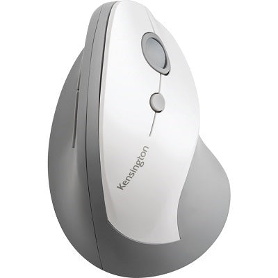 Image of K75520WW
