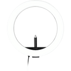 Alternate image #1 of K87653WW