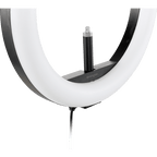 Alternate image #3 of K87653WW