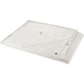 Image of NN387