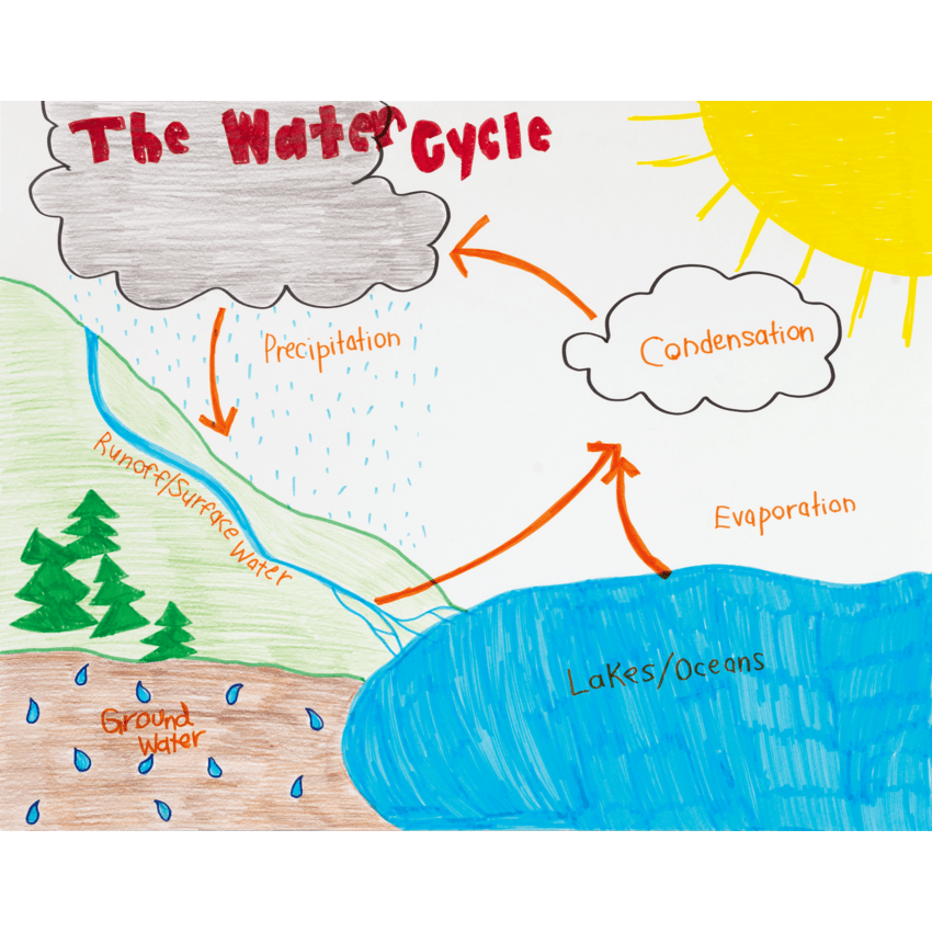 Alternate image #2 of P5460