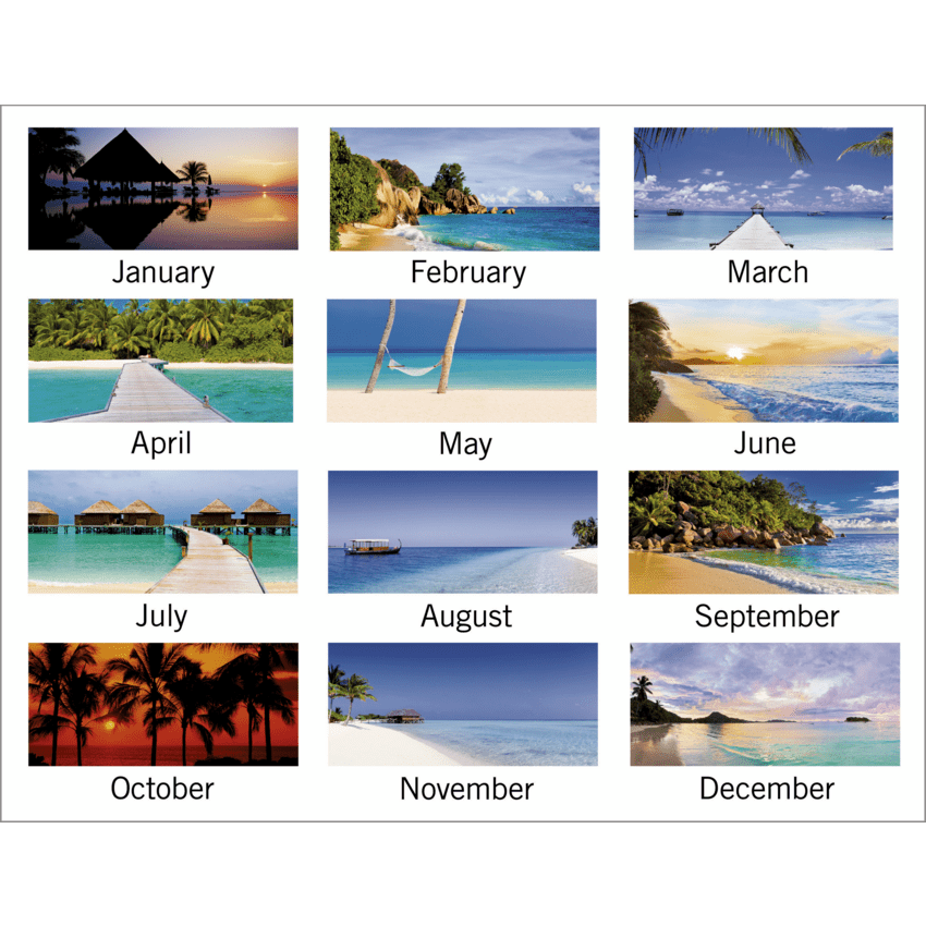 Alternate image #9 of TL385F-10